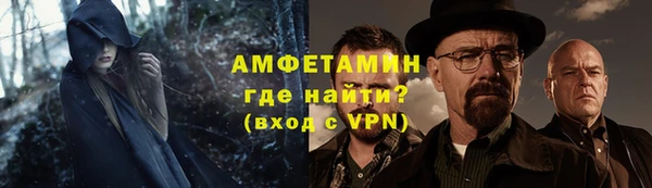 амф Верхний Тагил